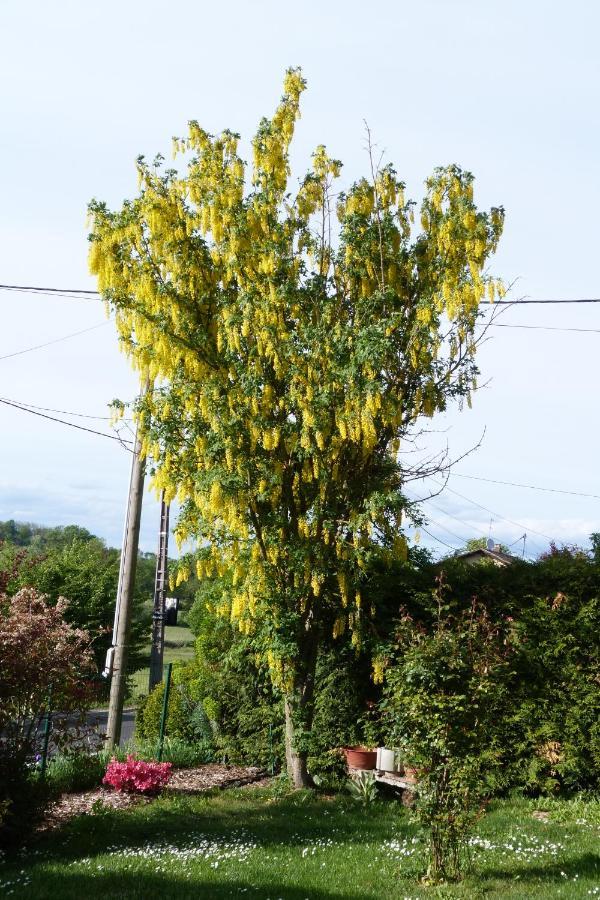 Gite D'Maisala Les Mesanges Heidwiller Buitenkant foto