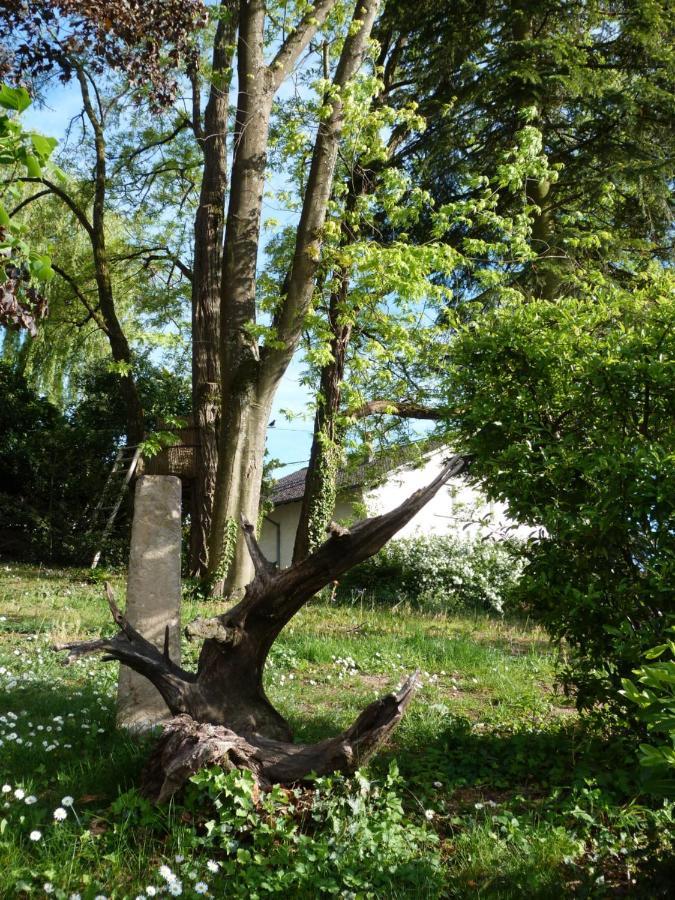 Gite D'Maisala Les Mesanges Heidwiller Buitenkant foto